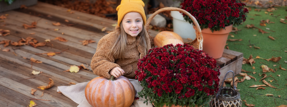 Maak uw veranda helemaal herfstproof met Top-Veranda's!