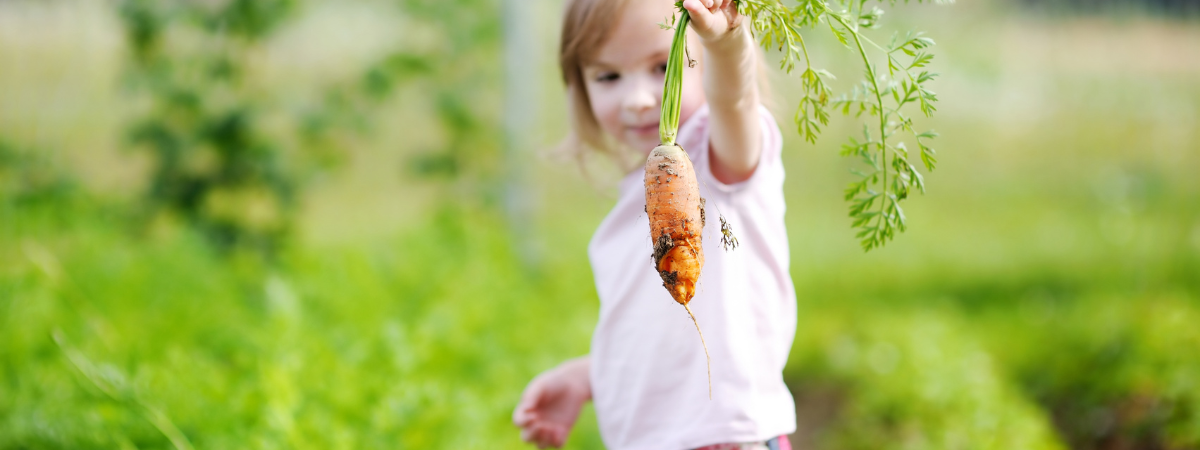 Start een makkelijke moestuin met de kids!