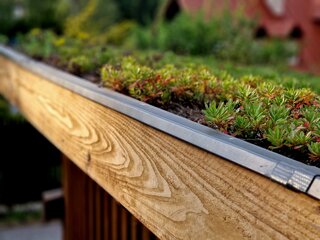 Tip voor je houten overkapping: groen dak